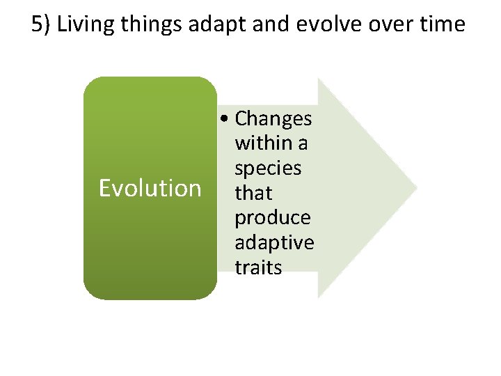 5) Living things adapt and evolve over time • Changes within a species Evolution