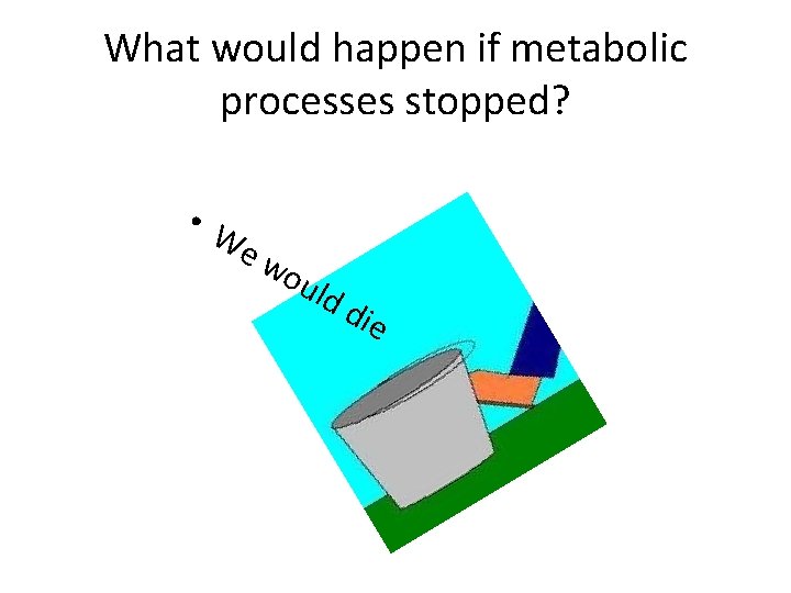 What would happen if metabolic processes stopped? • W ew ou ld d ie