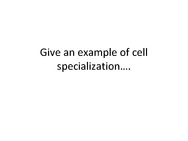 Give an example of cell specialization…. 