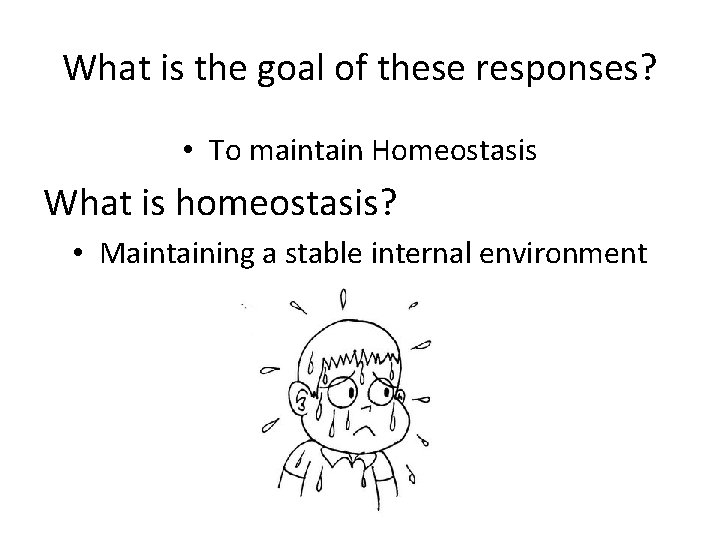What is the goal of these responses? • To maintain Homeostasis What is homeostasis?