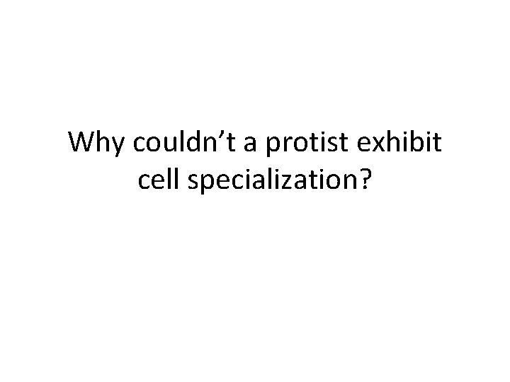 Why couldn’t a protist exhibit cell specialization? 