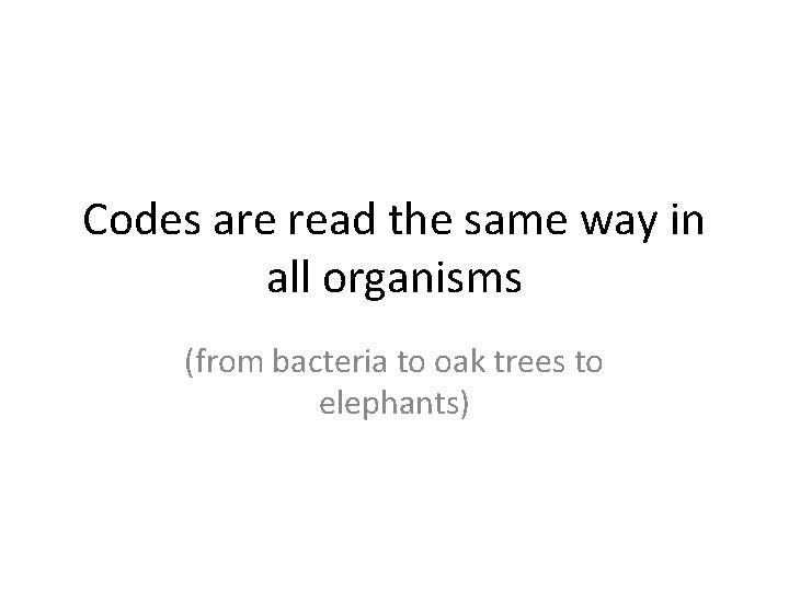 Codes are read the same way in all organisms (from bacteria to oak trees