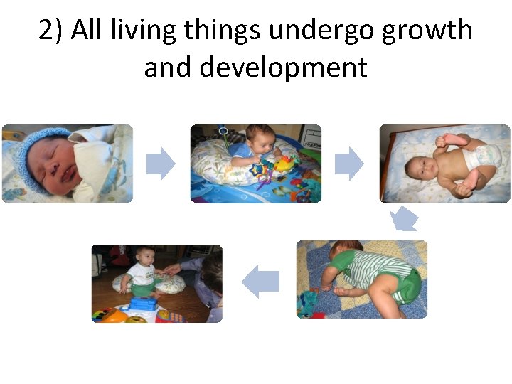 2) All living things undergo growth and development 