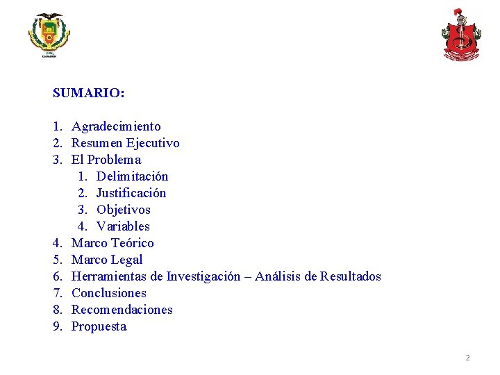 SUMARIO: 1. Agradecimiento 2. Resumen Ejecutivo 3. El Problema 1. Delimitación 2. Justificación 3.