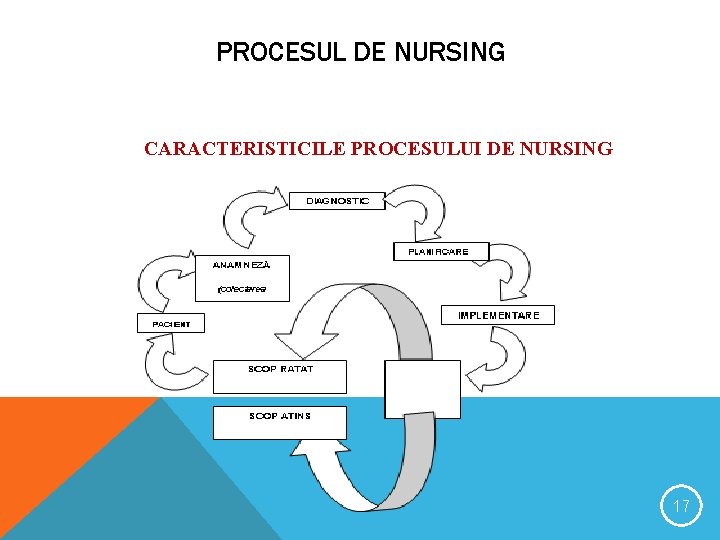 PROCESUL DE NURSING CARACTERISTICILE PROCESULUI DE NURSING 17 PROCESUL DE NURSING CARACTERISTICILE PROCESULUI DE NURSING 17