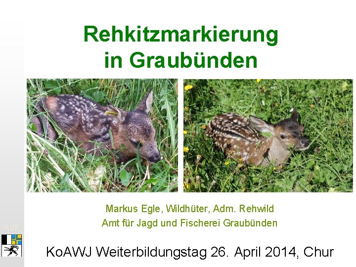 Rehkitzmarkierung in Graubünden Rehkitz? AJF Markus Egle, Wildhüter, Adm. Rehwild Amt für Jagd und