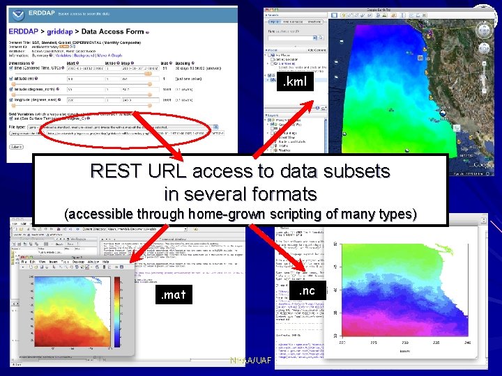 . kml REST URL access to data subsets in several formats (accessible through home-grown