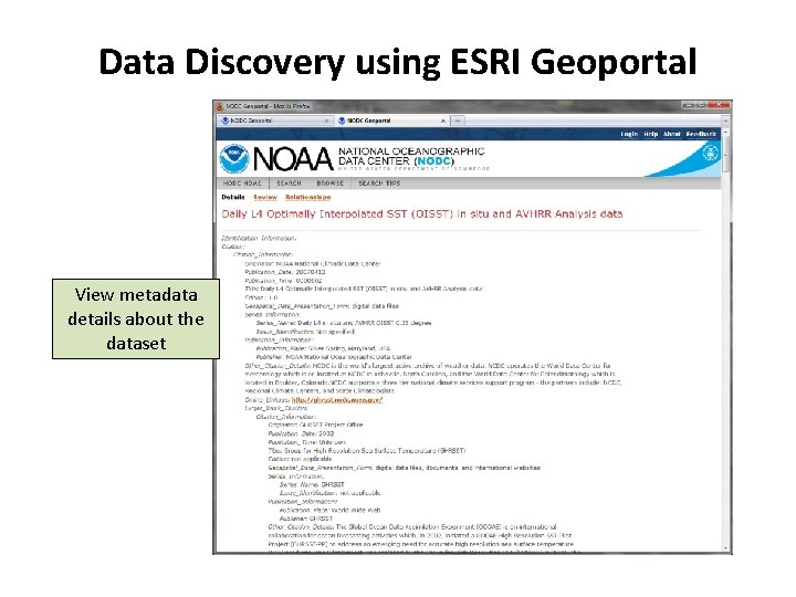Data Discovery using ESRI Geoportal View metadata details about the dataset 