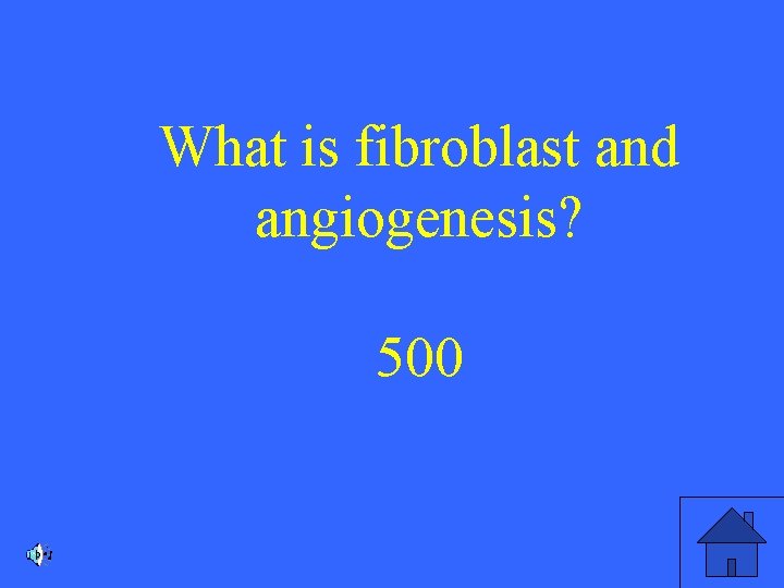 What is fibroblast and angiogenesis? 500 