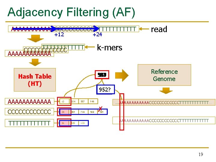 Adjacency Filtering (AF) AAAAAACCCCCCTTTTTT +12 +24 read k-mers TTTTTT CCCCCC AAAAAA 12 940 *** Adjacency Filtering (AF) AAAAAACCCCCCTTTTTT +12 +24 read k-mers TTTTTT CCCCCC AAAAAA 12 940 ***