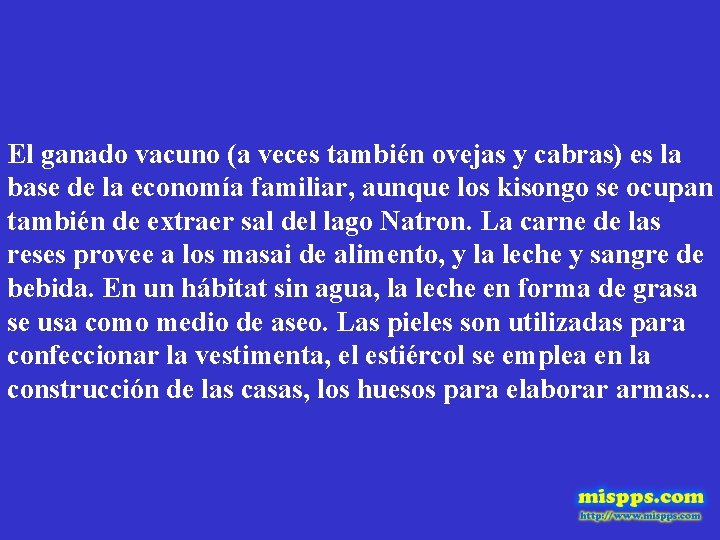 El ganado vacuno (a veces también ovejas y cabras) es la base de la