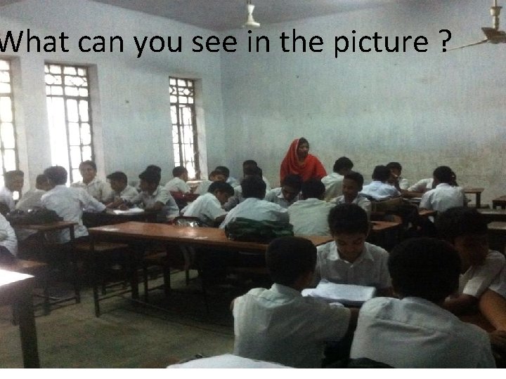 What can you see in the picture ? 