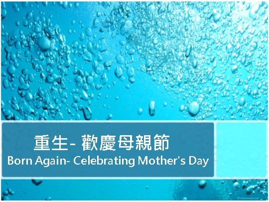 重生- 歡慶母親節 Born Again- Celebrating Mother's Day 