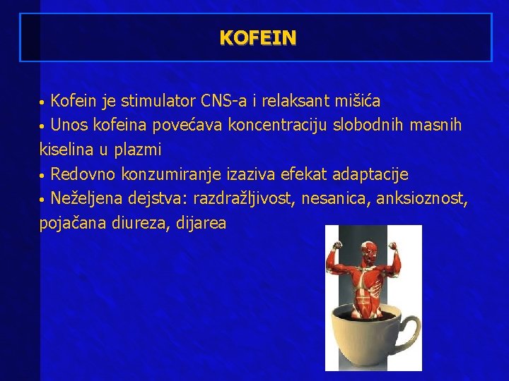 KOFEIN Kofein je stimulator CNS-a i relaksant mišića • Unos kofeina povećava koncentraciju slobodnih