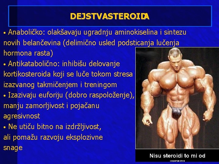 DEJSTVASTEROIDA Anaboličko: olakšavaju ugradnju aminokiselina i sintezu novih belančevina (delimično usled podsticanja lučenja hormona