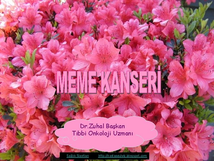 Dr. Zuhal Başkan Tıbbi Onkoloji Uzmanı Sağlık Slaytları http: //hastaneciyiz. blogspot. com 