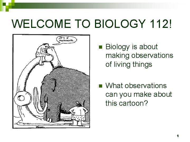 WELCOME TO BIOLOGY 112! n Biology is about making observations of living things n