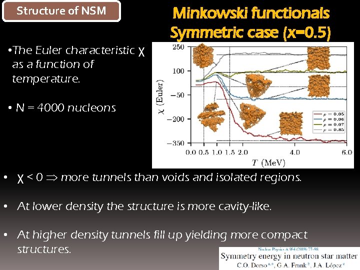 Structure of NSM Minkowski functionals Symmetric case (x=0. 5) • The Euler characteristic χ