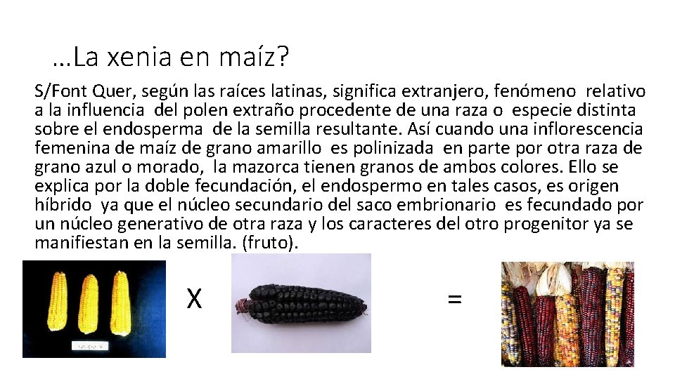 …La xenia en maíz? S/Font Quer, según las raíces latinas, significa extranjero, fenómeno relativo