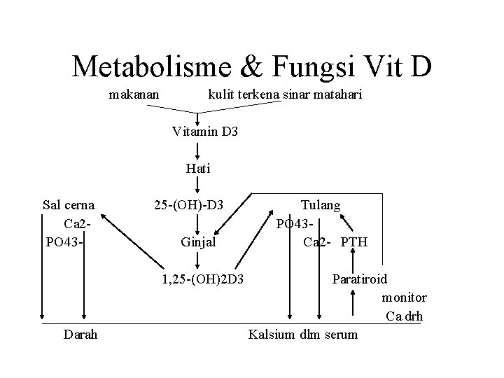 Metabolisme & Fungsi Vit D makanan kulit terkena sinar matahari Vitamin D 3 Hati