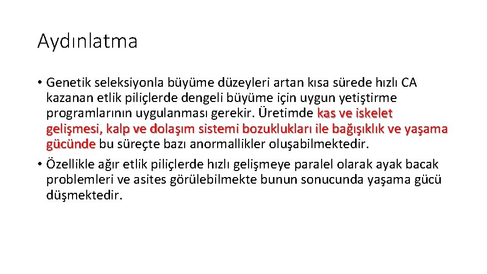 Aydınlatma • Genetik seleksiyonla büyüme düzeyleri artan kısa sürede hızlı CA kazanan etlik piliçlerde