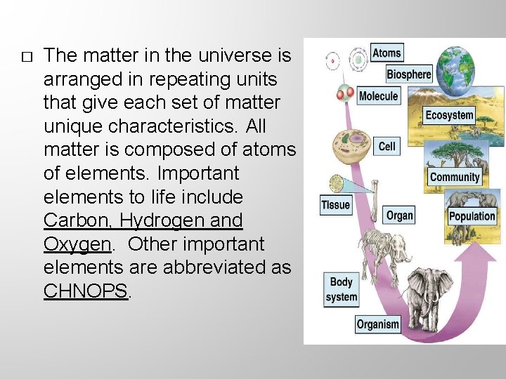 � The matter in the universe is arranged in repeating units that give each