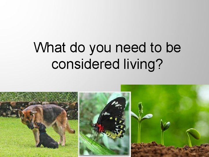 What do you need to be considered living? 