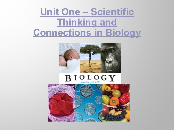 Unit One – Scientific Thinking and Connections in Biology 