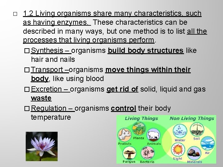 � 1. 2 Living organisms share many characteristics, such as having enzymes. These characteristics
