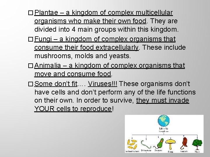 � Plantae – a kingdom of complex multicellular organisms who make their own food.