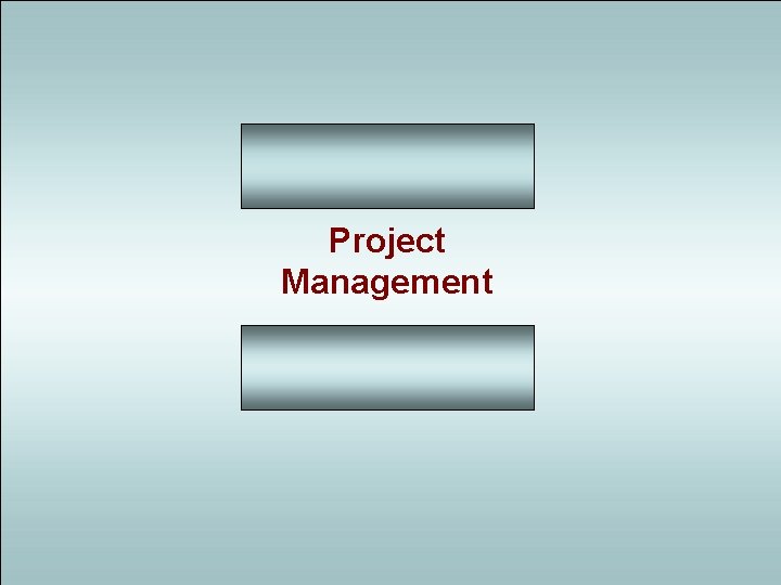 Project Management 