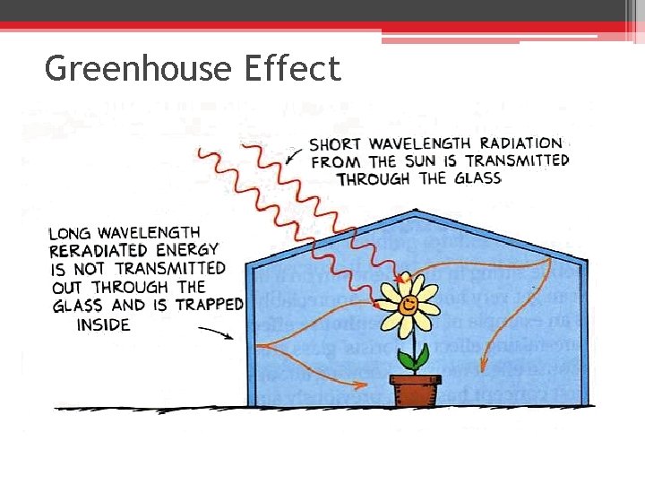 Greenhouse Effect 