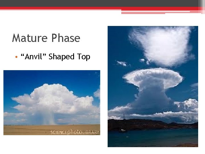 Mature Phase • “Anvil” Shaped Top 