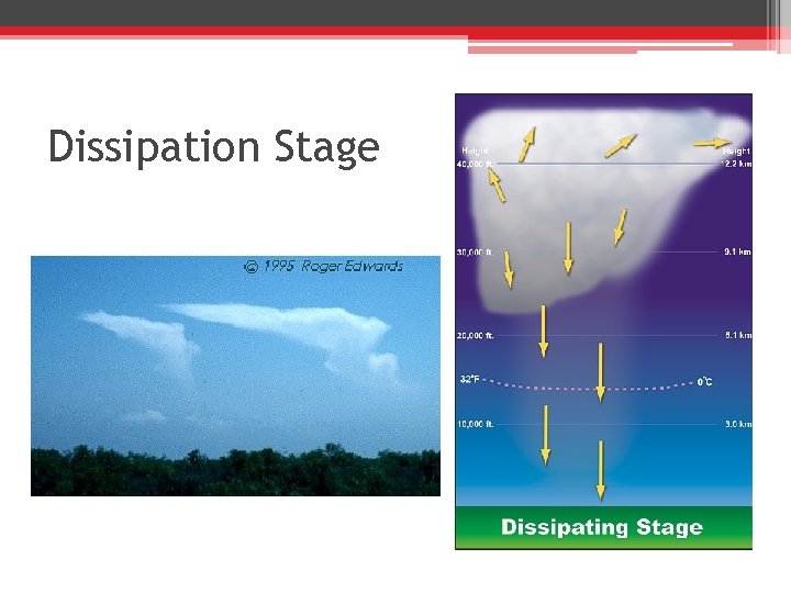 Dissipation Stage 