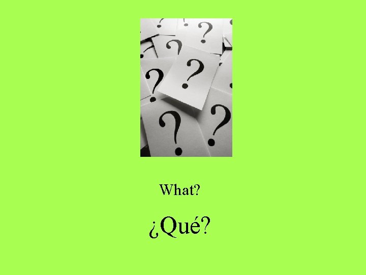 What? ¿Qué? What? ¿Qué?
