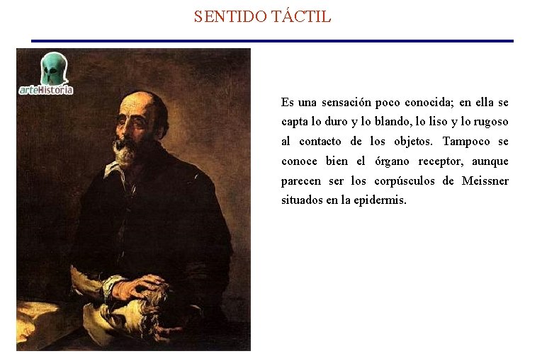 SENTIDO TÁCTIL Es una sensación poco conocida; en ella se capta lo duro y SENTIDO TÁCTIL Es una sensación poco conocida; en ella se capta lo duro y