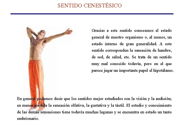 SENTIDO CENESTÉSICO Gracias a este sentido conocemos el estado general de nuestro organismo o, SENTIDO CENESTÉSICO Gracias a este sentido conocemos el estado general de nuestro organismo o,
