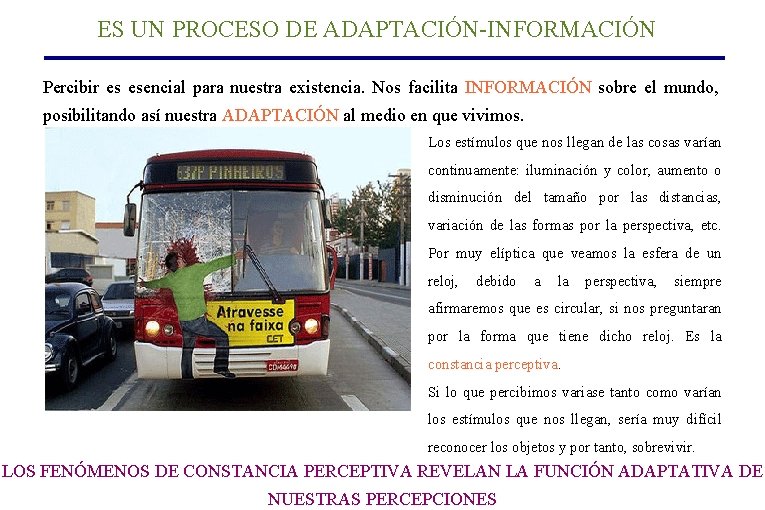 ES UN PROCESO DE ADAPTACIÓN-INFORMACIÓN Percibir es esencial para nuestra existencia. Nos facilita INFORMACIÓN ES UN PROCESO DE ADAPTACIÓN-INFORMACIÓN Percibir es esencial para nuestra existencia. Nos facilita INFORMACIÓN