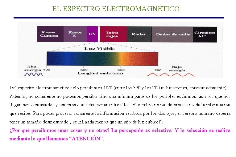 EL ESPECTRO ELECTROMAGNÉTICO Del espectro electromagnético sólo percibimos 1/70 (entre los 390 y los EL ESPECTRO ELECTROMAGNÉTICO Del espectro electromagnético sólo percibimos 1/70 (entre los 390 y los