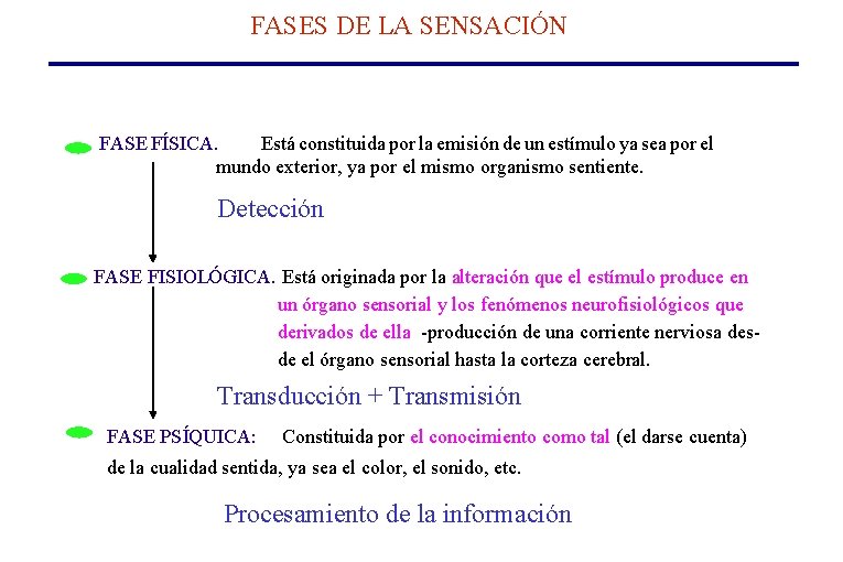 LA SENSACIN Y LA PERCEPCIN NOCIN DE SENSACIN