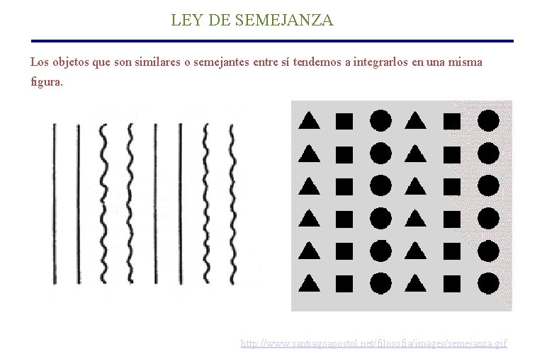LEY DE SEMEJANZA Los objetos que son similares o semejantes entre sí tendemos a LEY DE SEMEJANZA Los objetos que son similares o semejantes entre sí tendemos a
