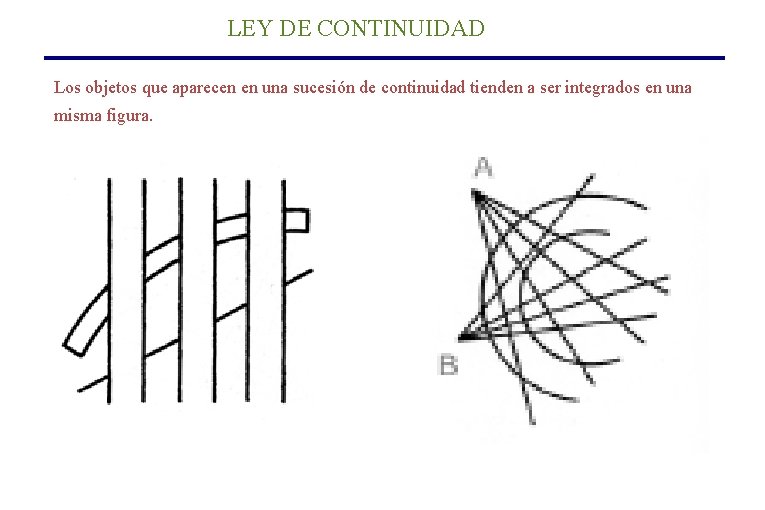 LEY DE CONTINUIDAD Los objetos que aparecen en una sucesión de continuidad tienden a LEY DE CONTINUIDAD Los objetos que aparecen en una sucesión de continuidad tienden a