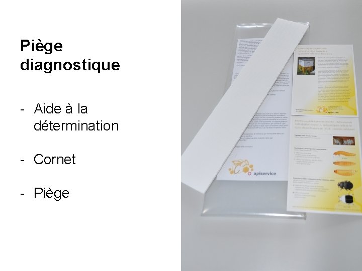 Piège diagnostique - Aide à la détermination - Cornet - Piège 