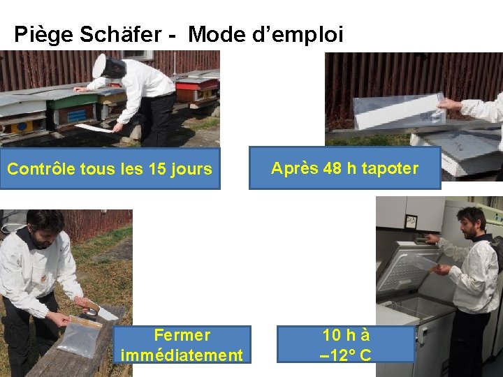 Piège Schäfer - Mode d’emploi Contrôle tous les 15 jours Fermer immédiatement Après 48