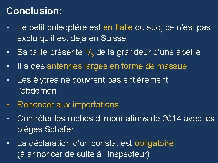 Conclusion: • Le petit coléoptère est en Italie du sud; ce n’est pas exclu