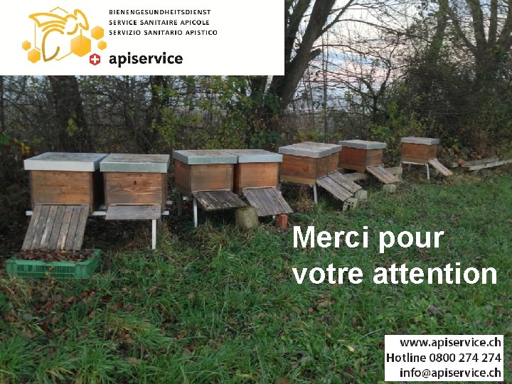 Merci pour votre attention 