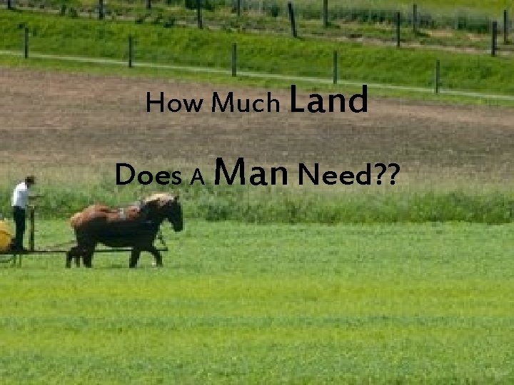 How Much Land Does A Man Need? ? 