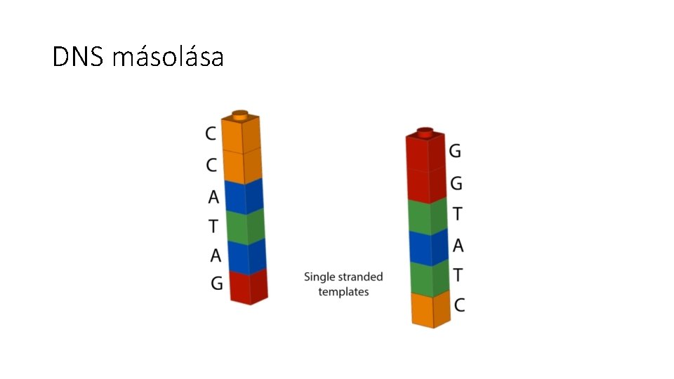 DNS másolása 