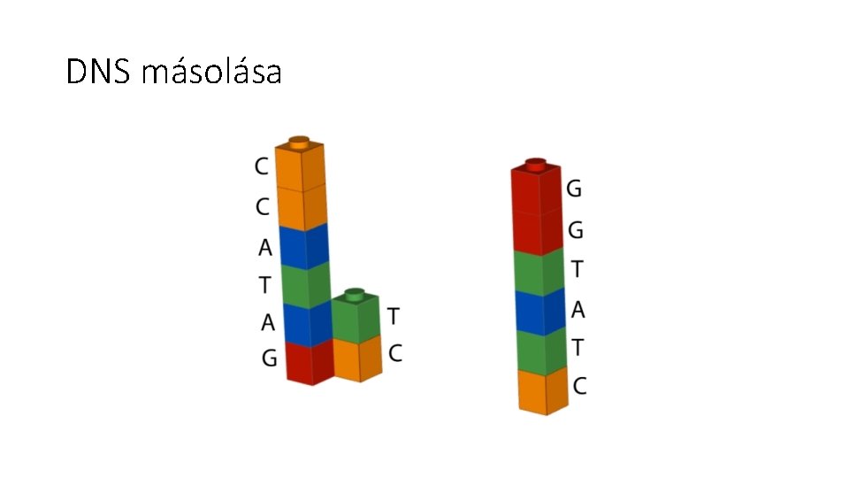 DNS másolása 