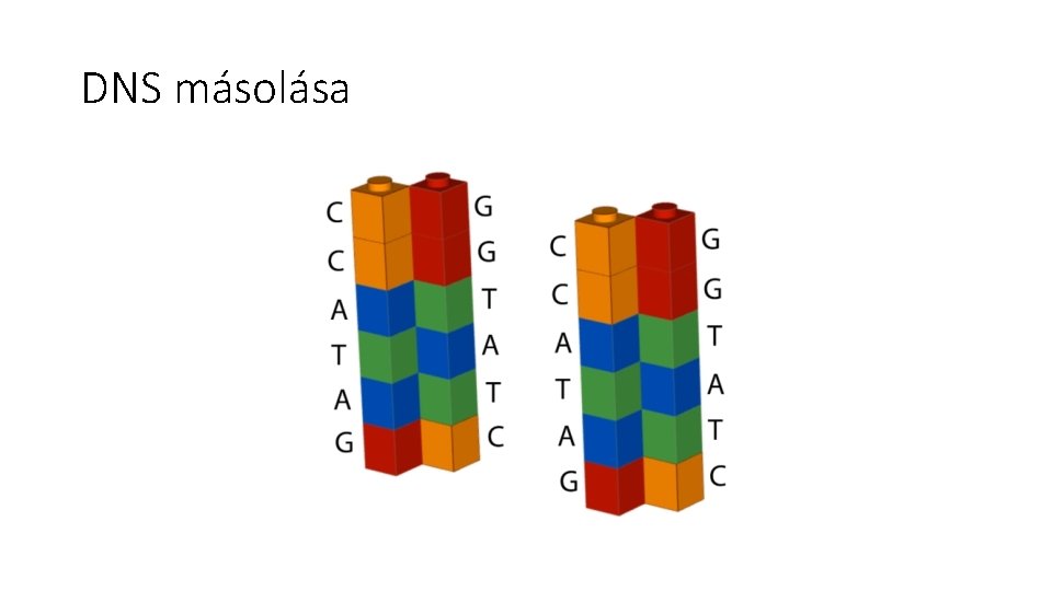 DNS másolása 